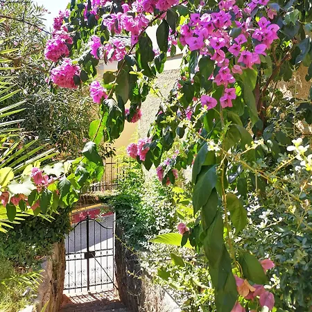 Secret Garden With Private Parking Space Apartment