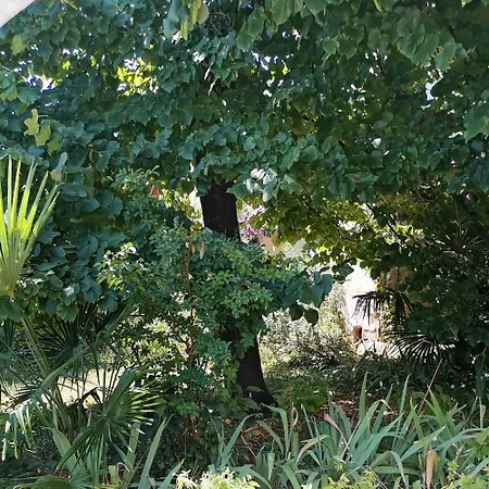 Secret Garden With Private Parking Space Opatija